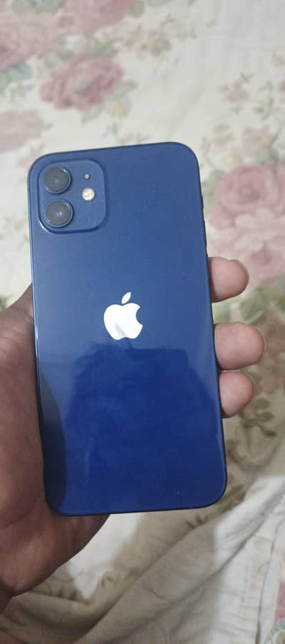 Iphone 12 Blue
