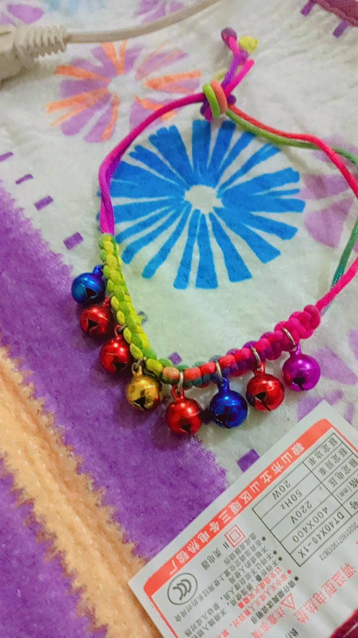 cat accesories 0