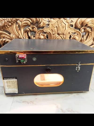 100 Eggs incubator