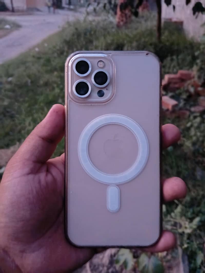 Apple iPhone 12 Pro Max 1