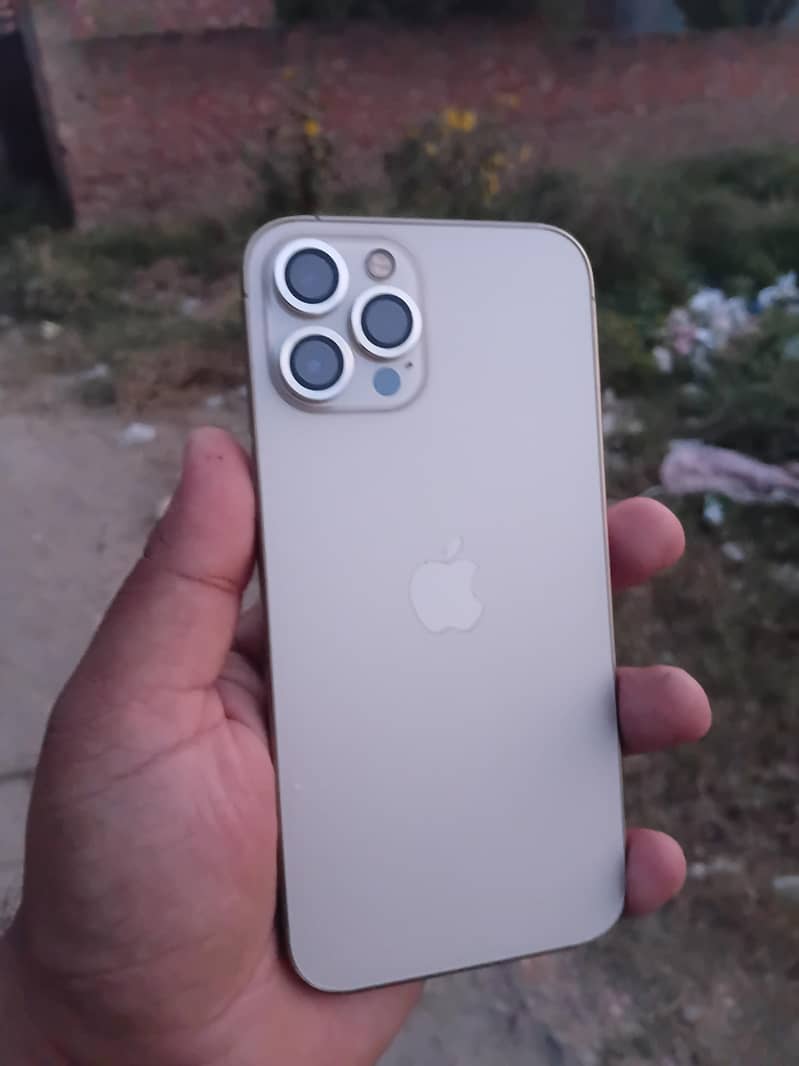 Apple iPhone 12 Pro Max 2