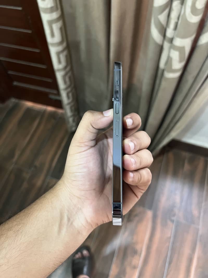 Apple iPhone 13 Pro Max 2