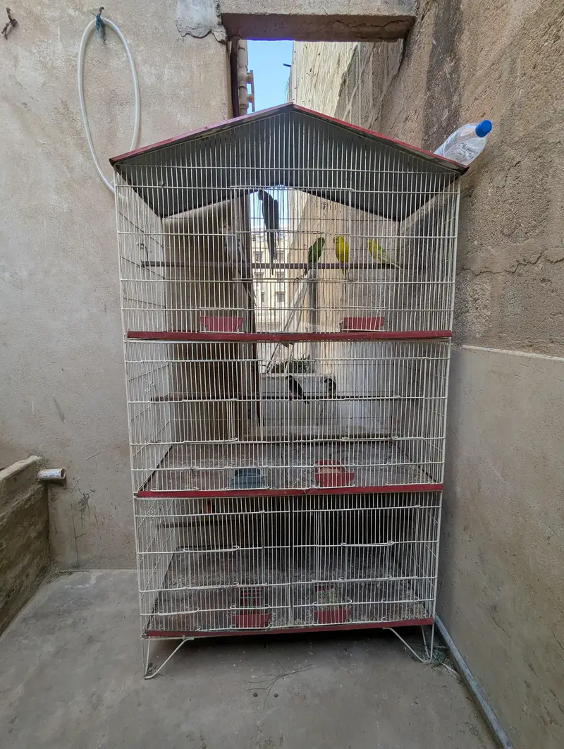 6 portion CAGE FOR PARROTS — photo 2