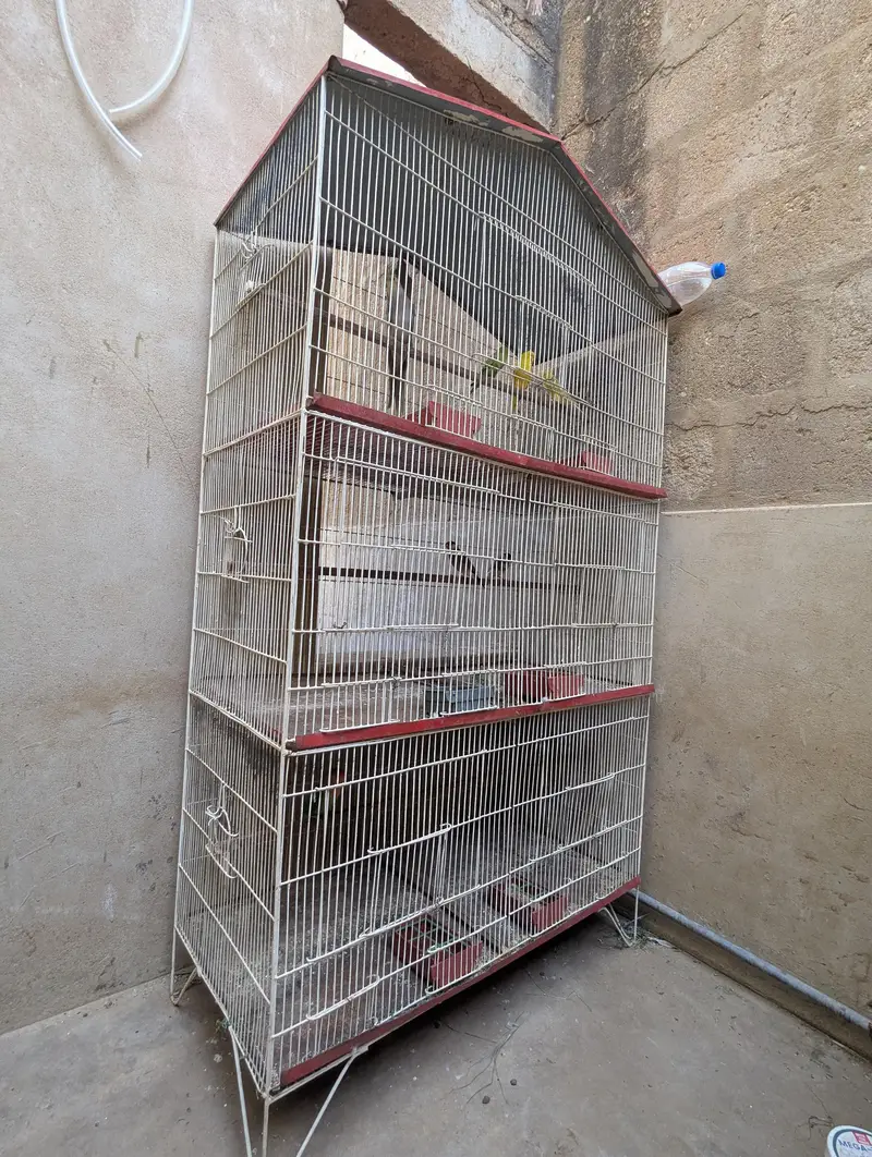 6 portion CAGE FOR PARROTS — photo 3