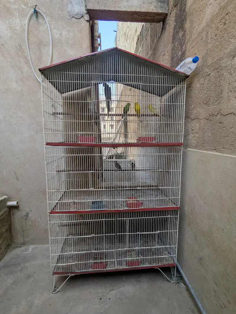 6 portion CAGE FOR PARROTS — photo 4