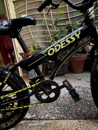Odessy Safari Bicycle