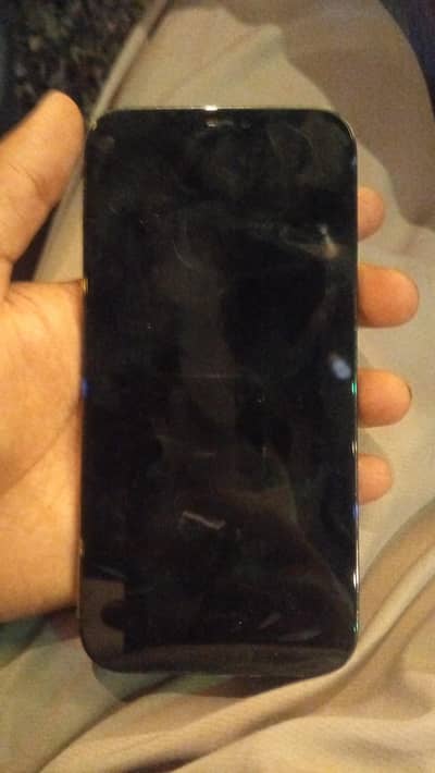 Apple iPhone 12 Pro Max