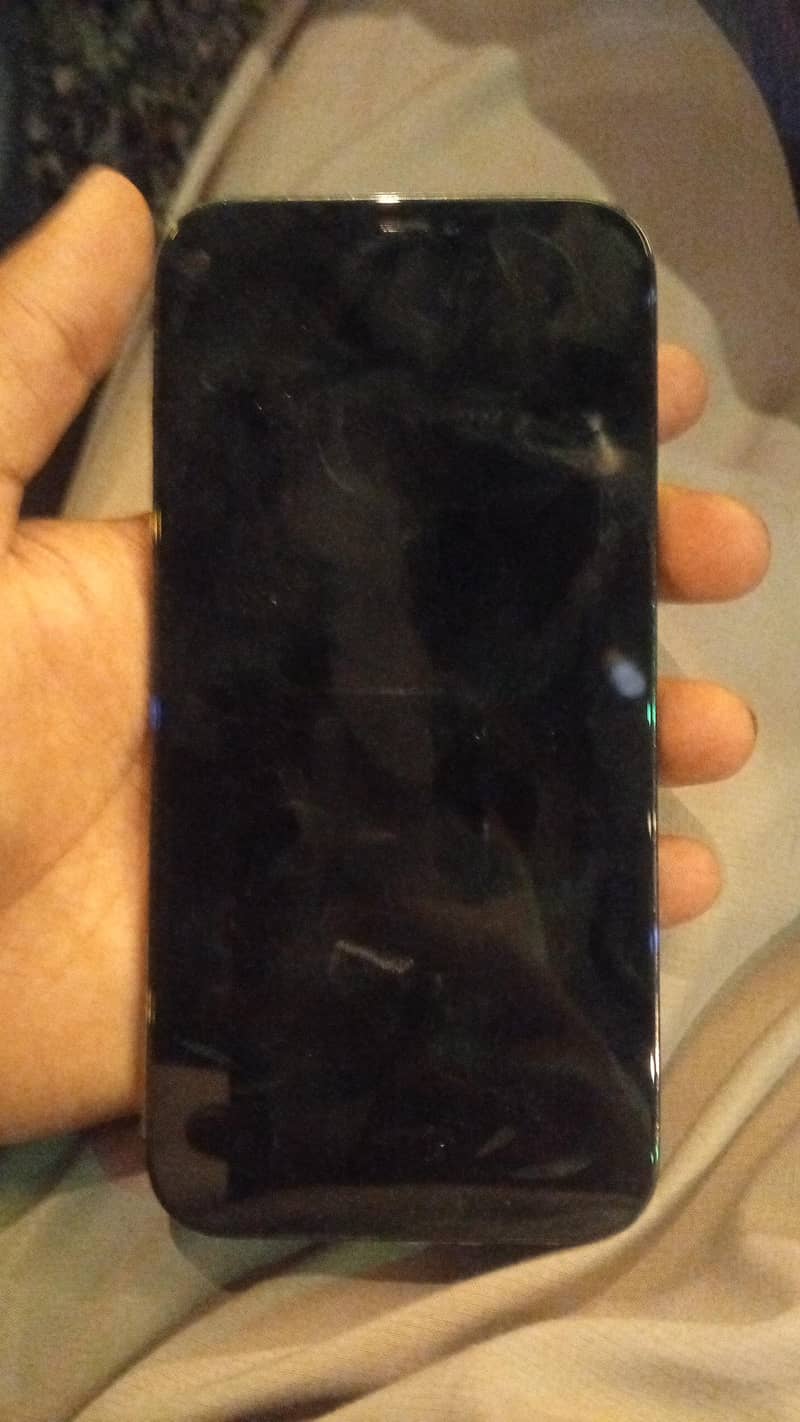 Apple iPhone 12 Pro Max 0