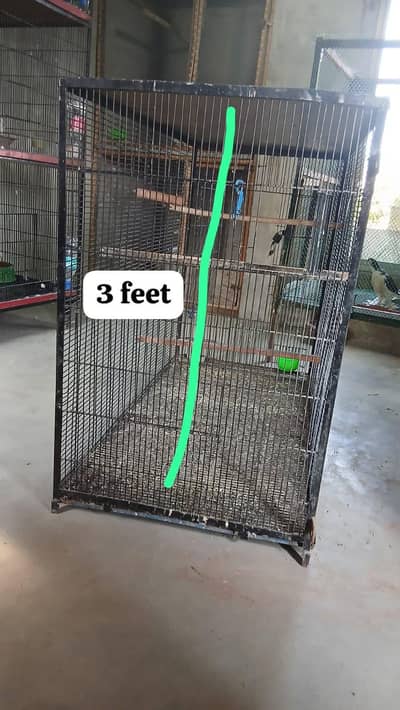 Cage for sale 03070165011