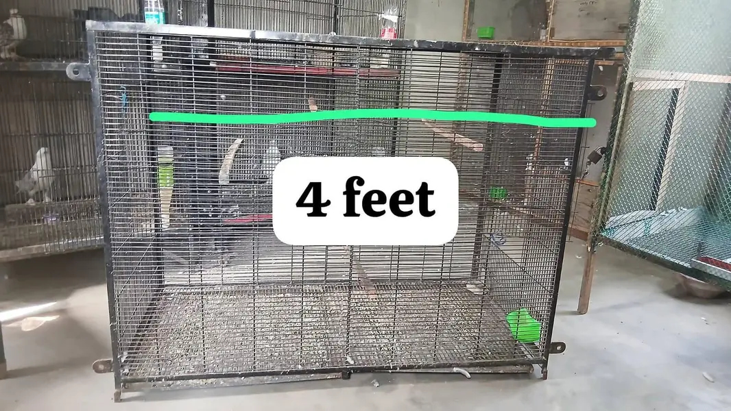 Cage for sale 03070165011 — photo 3