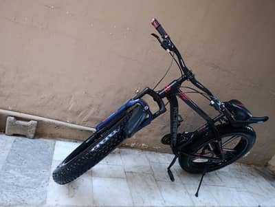 American Fat Bicycle