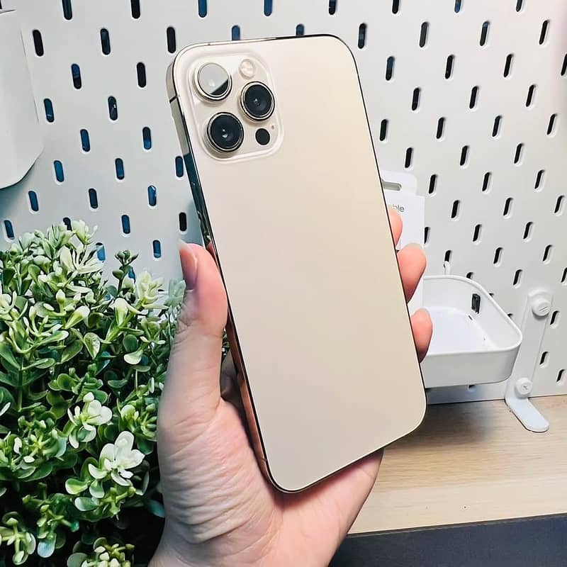 Apple iPhone 12 Pro Max 0