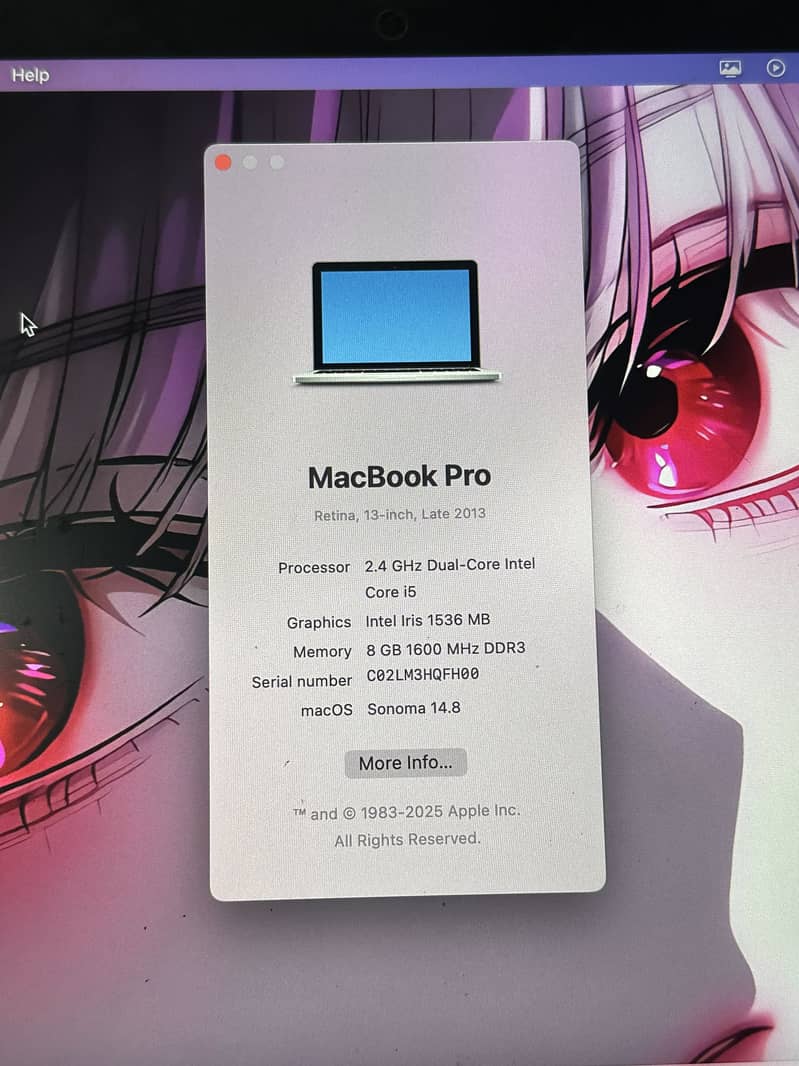 MacBook Pro 2013 3