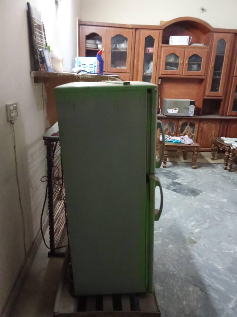 waves fridge 1