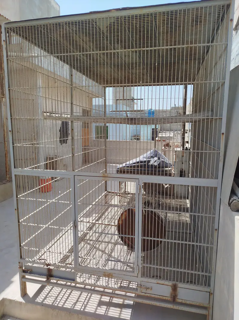 cage for sale — photo 3