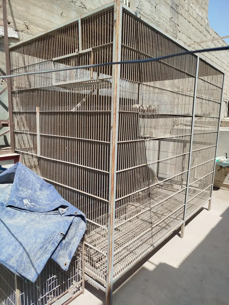 cage for sale — photo 4