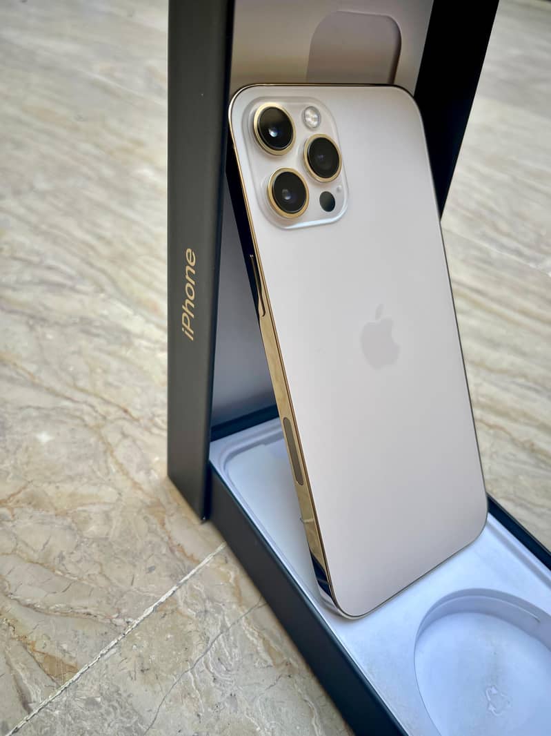 Apple iPhone 12 Pro Max 1