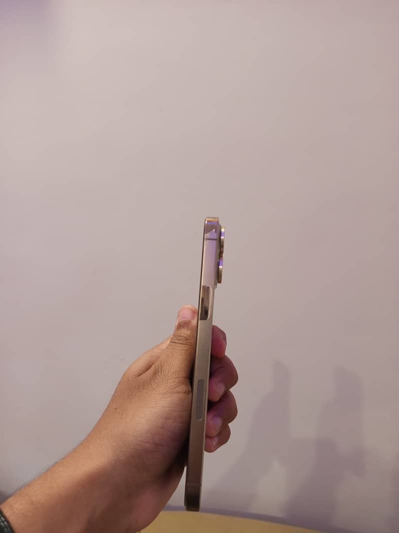 Apple iPhone 13 Pro Max JV 1