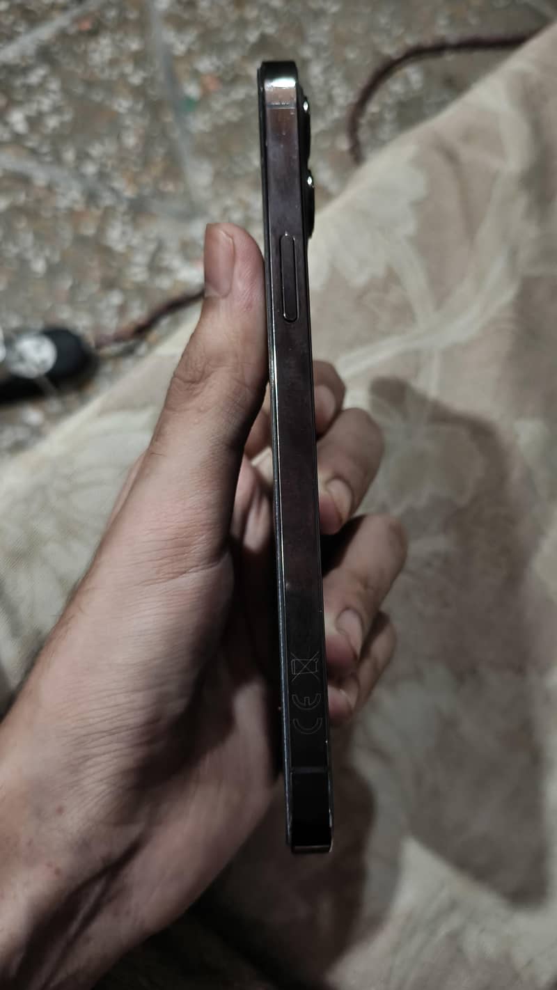 Apple iPhone 12 Pro Max 2