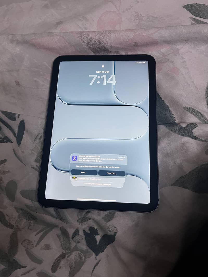 Ipad mini 6 10/10 0