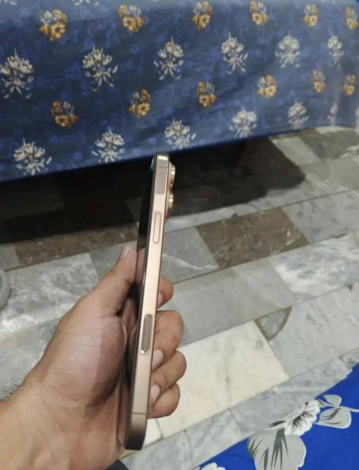 Apple iPhone 16 Pro Max 1