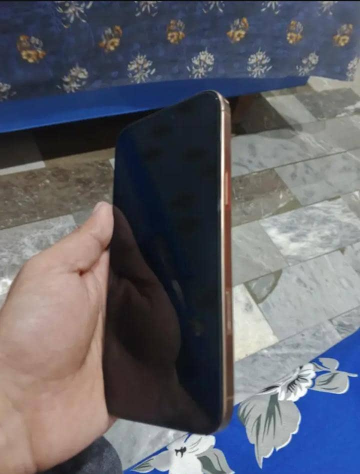 Apple iPhone 16 Pro Max 2