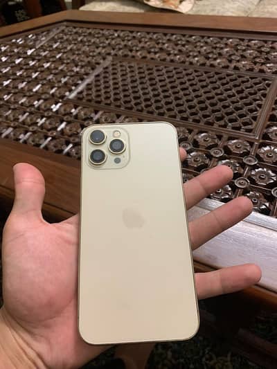 Apple iPhone 12 Pro Max