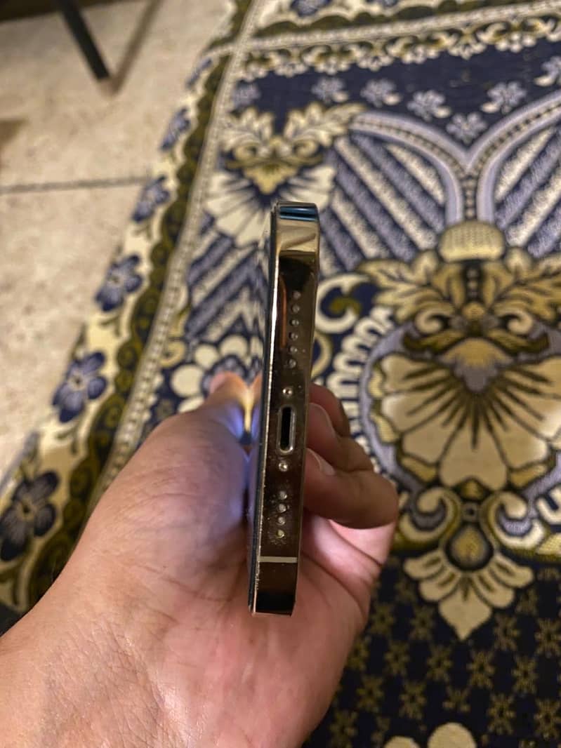 Apple iPhone 12 Pro Max 2