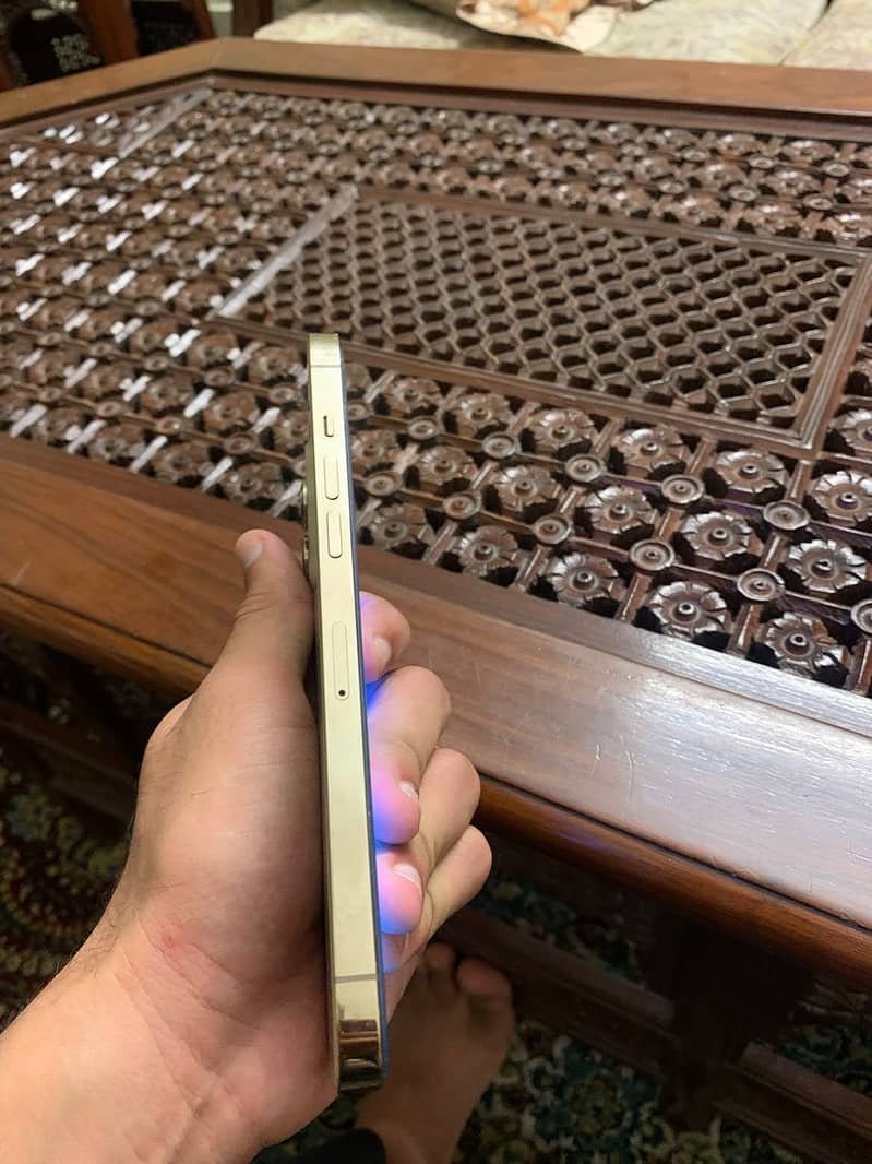 Apple iPhone 12 Pro Max 6