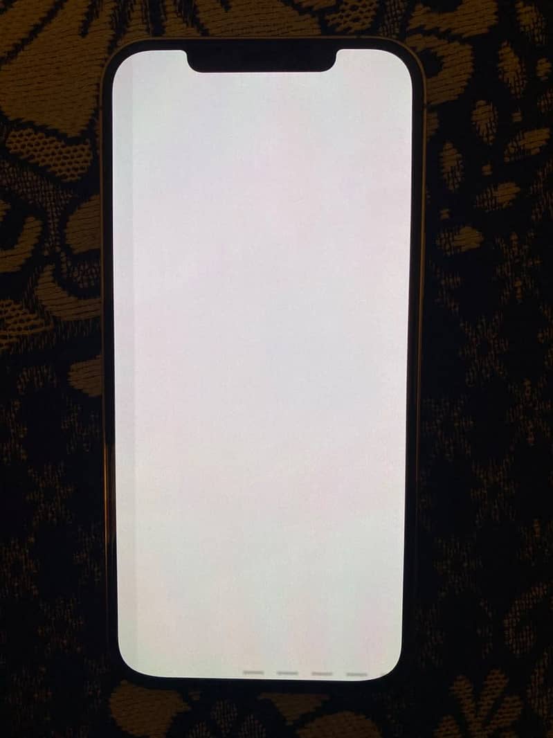 Apple iPhone 12 Pro Max 7