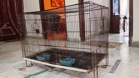 Hen cage for sale