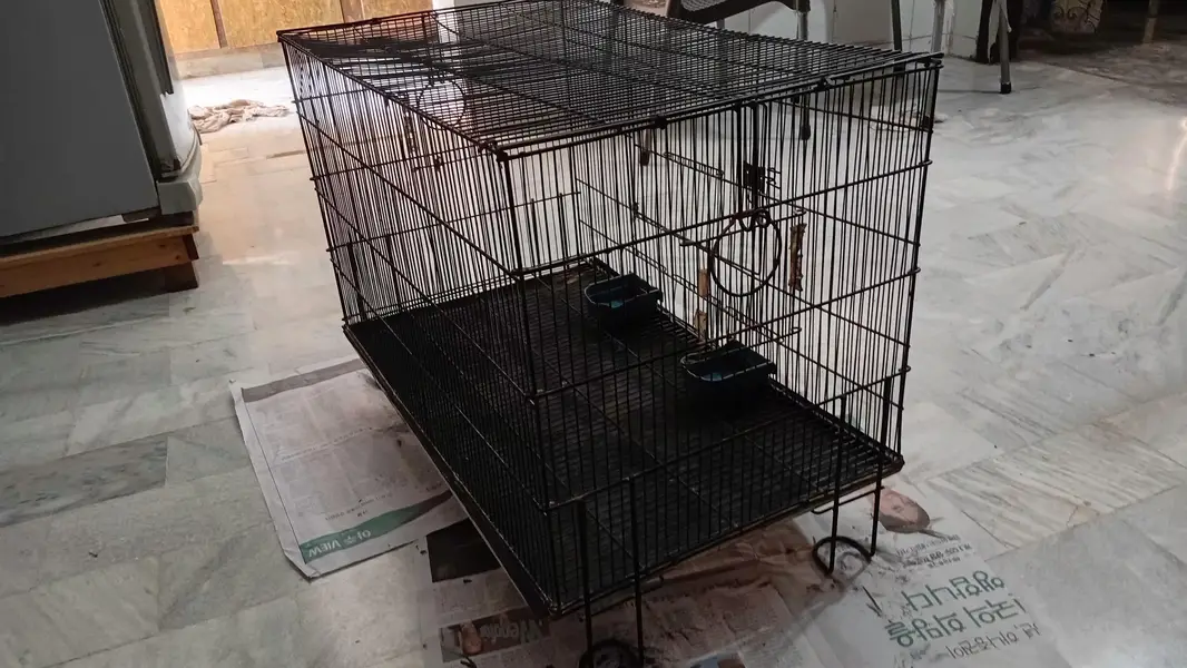 Hen cage for sale — photo 2