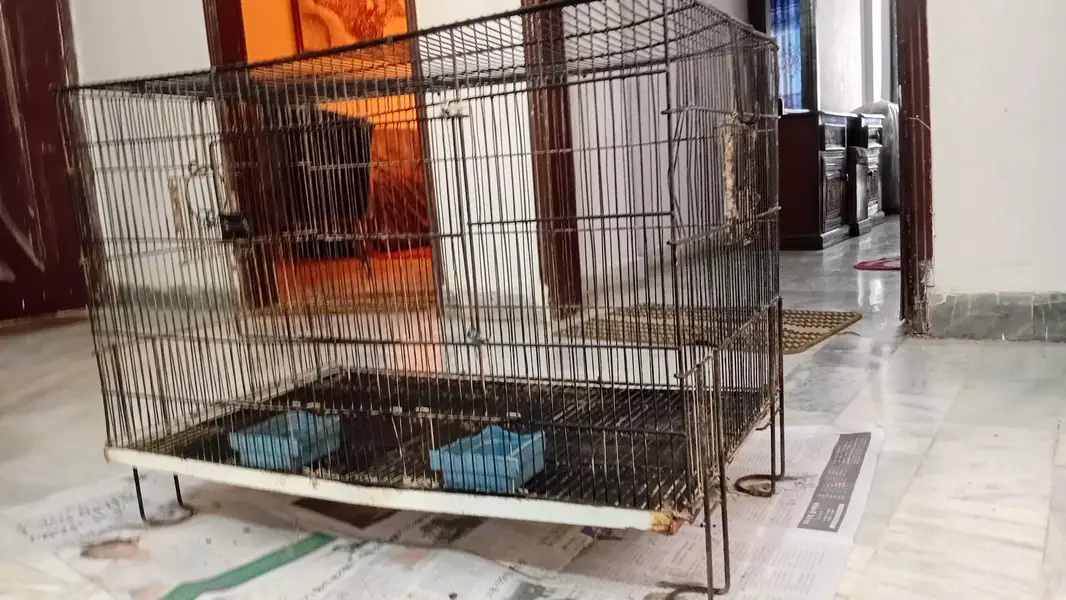 Hen cage for sale — photo 3