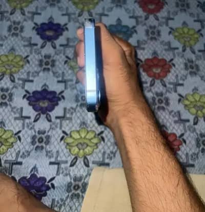 Apple iPhone 13(03248209560) phone number