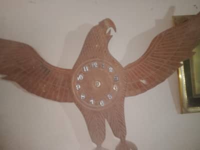 Eagle watch