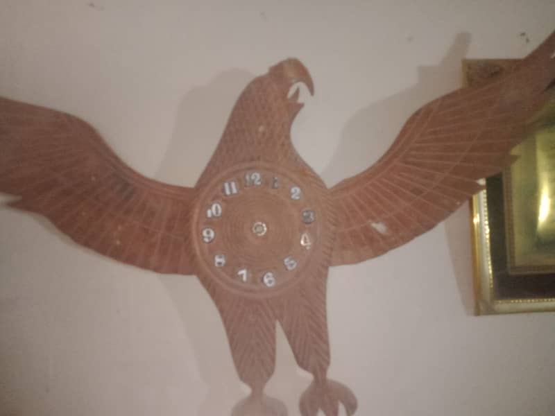 Eagle watch 1