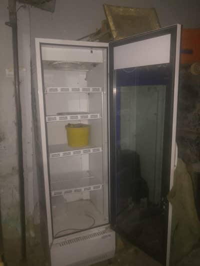 Glass Door Visi Cooler / Display Refrigerator – Excellent Deal