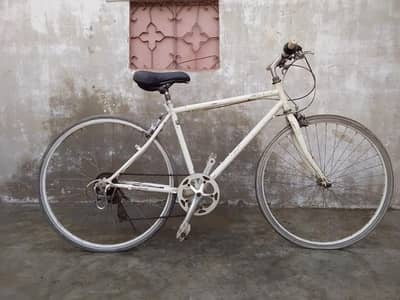 sport cycle