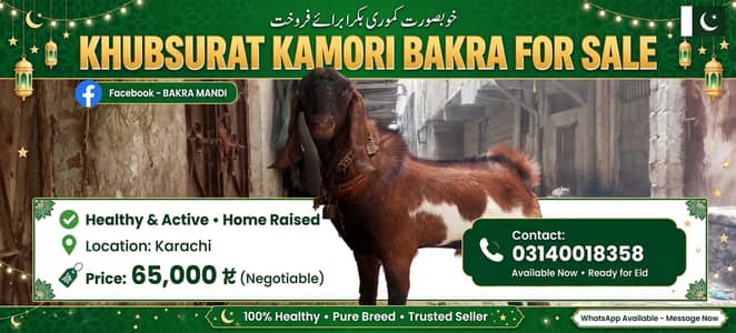 Kamori bakra