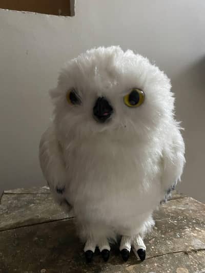 Harry Potter — Enchanting Hedwig | Premium Interactive Collectible