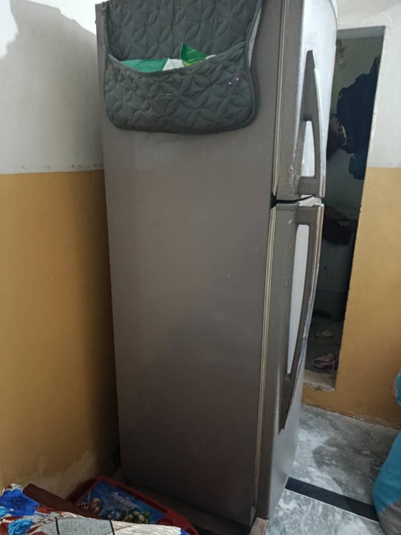 Singer Full Size Fridge 2