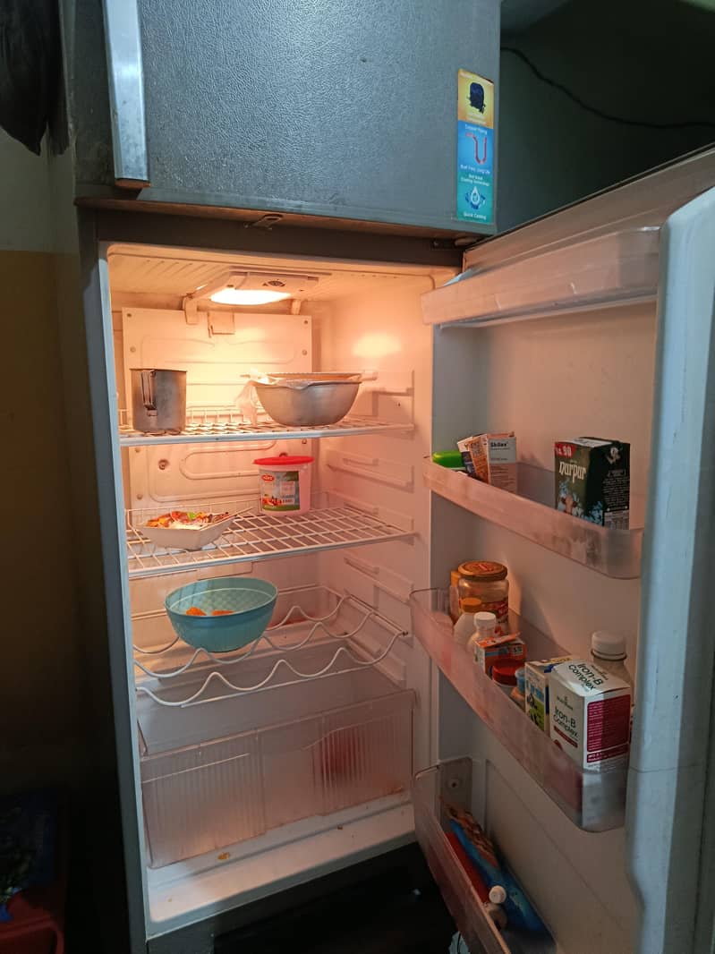 Singer Full Size Fridge 3