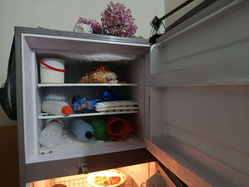 Singer Full Size Fridge 4