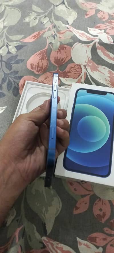 Iphone 12/128gb PTA Approved and Box