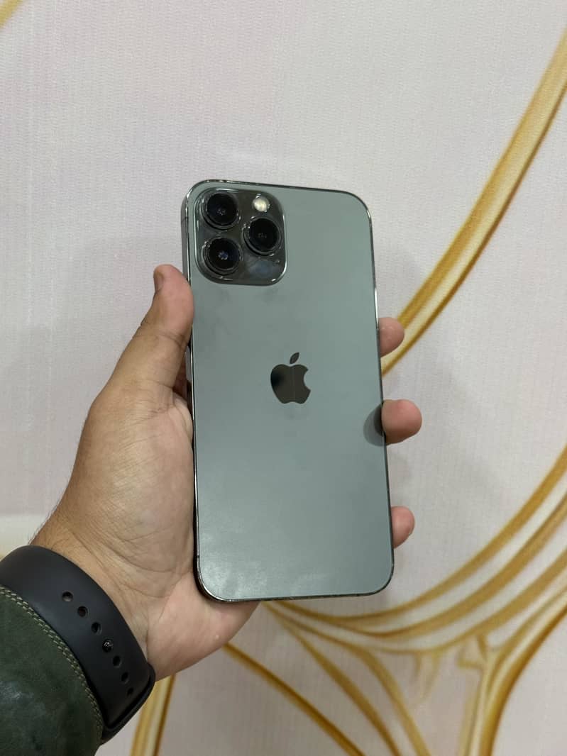 Apple iPhone 13 Pro Max 1