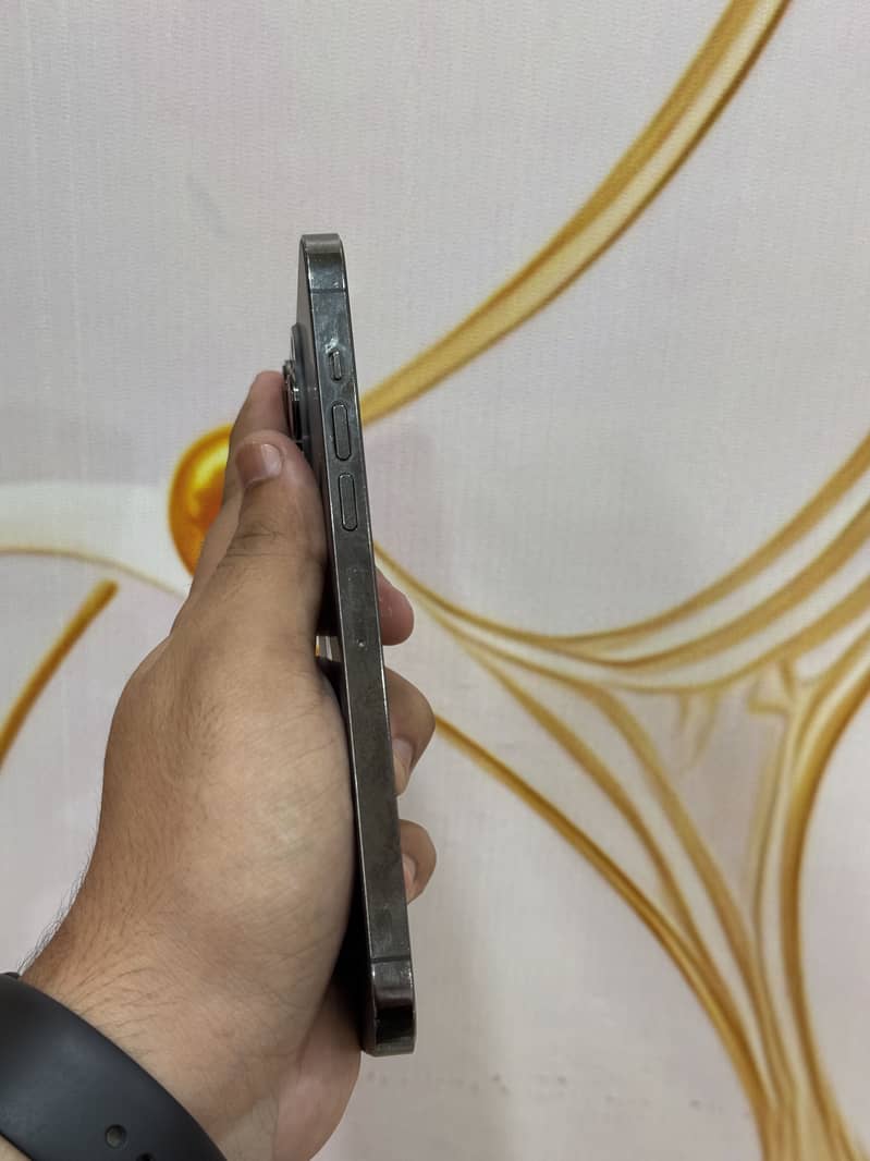 Apple iPhone 13 Pro Max 4