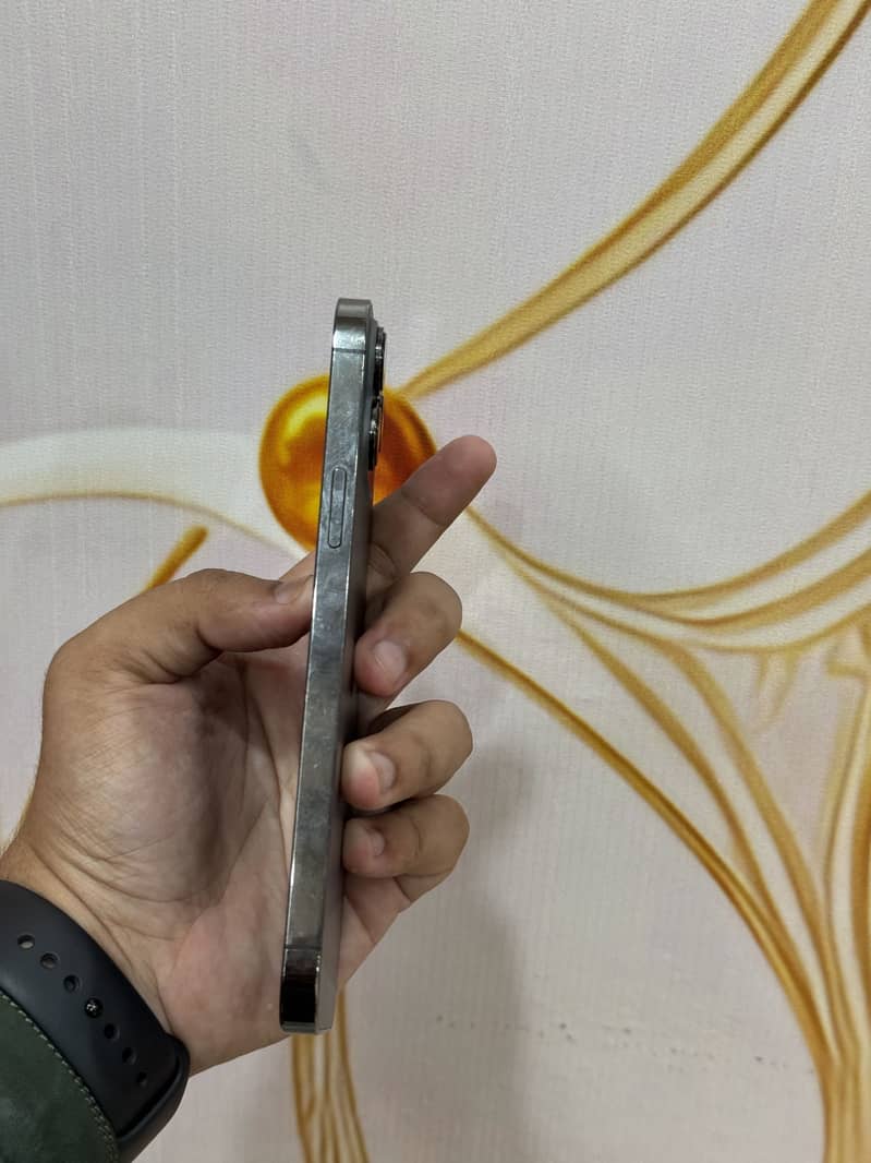 Apple iPhone 13 Pro Max 5