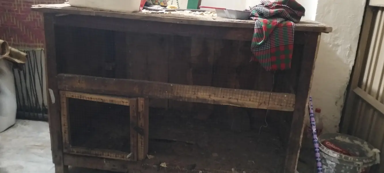 Wooden Cafe 2 ft width 4 ft length front — photo 3