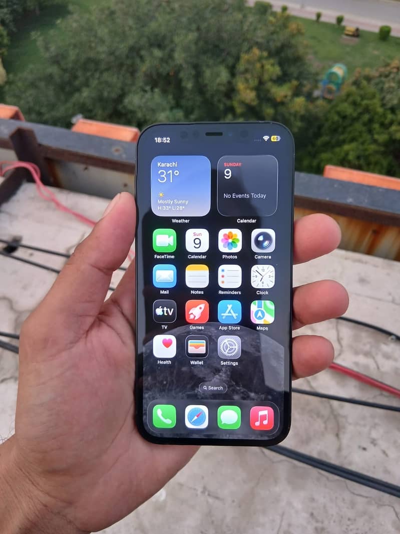 Apple iPhone 12 1