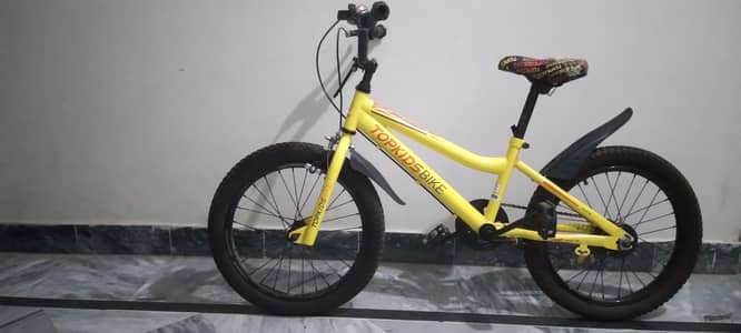 Top Kids Mountain Bike – 20-Inch Fat Tire
